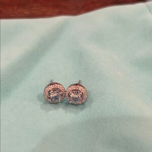 Elegant Silver (S925) Stud Moissanite Earrings